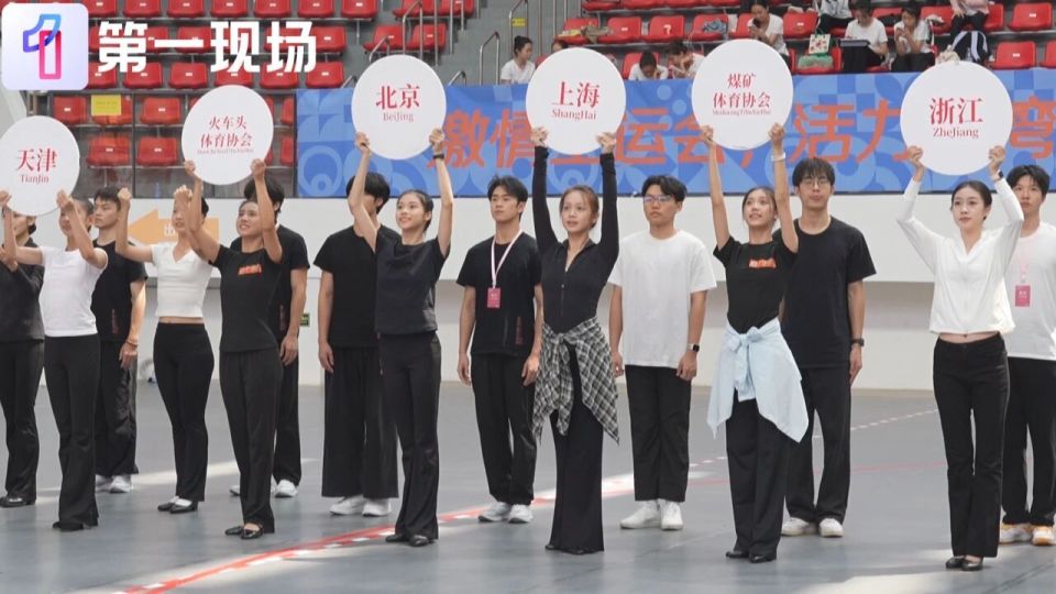 https, 政艺术团的