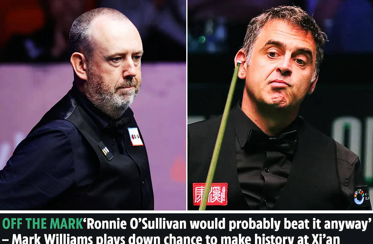 奖赛的奖金, 马克威廉姆